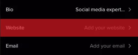 Where Is the Bio on TikTok  - 1