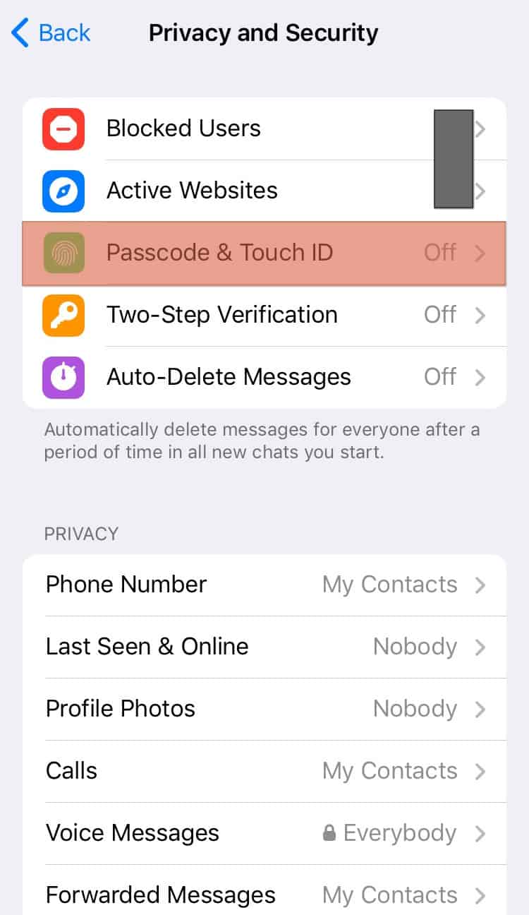 Telegram Passcode Touch Id