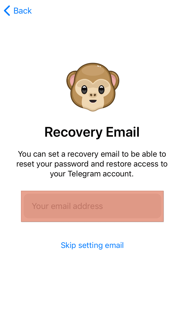 Telegram Recovery Email