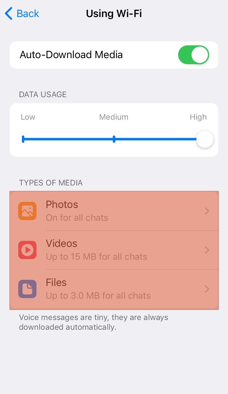 Telegram Storage Type Of File