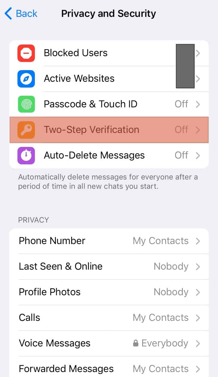 Telegram Two Step Verification