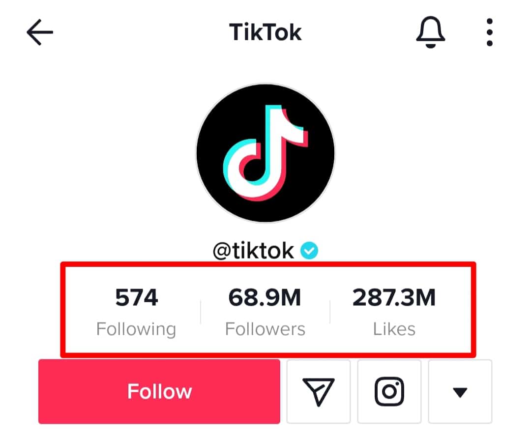 Three Values Under The Username Tiktok