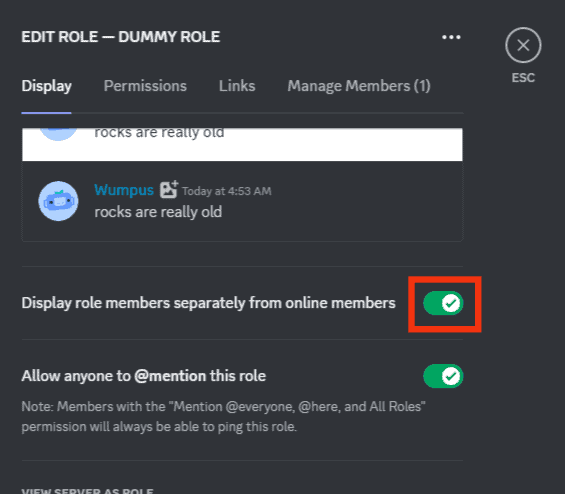 Turn On The Display Role Members Separately From Online Members Toggle