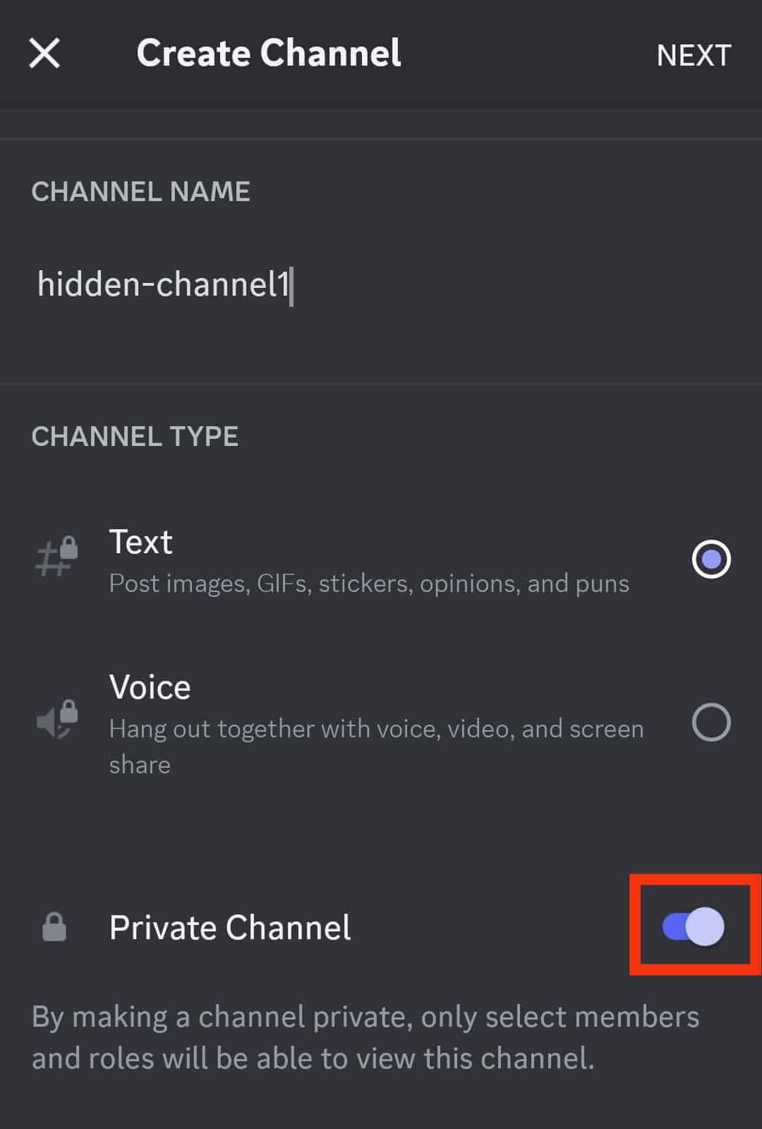 Turn On The Toggle Next To The&Nbsp;Private Channel&Nbsp;Option