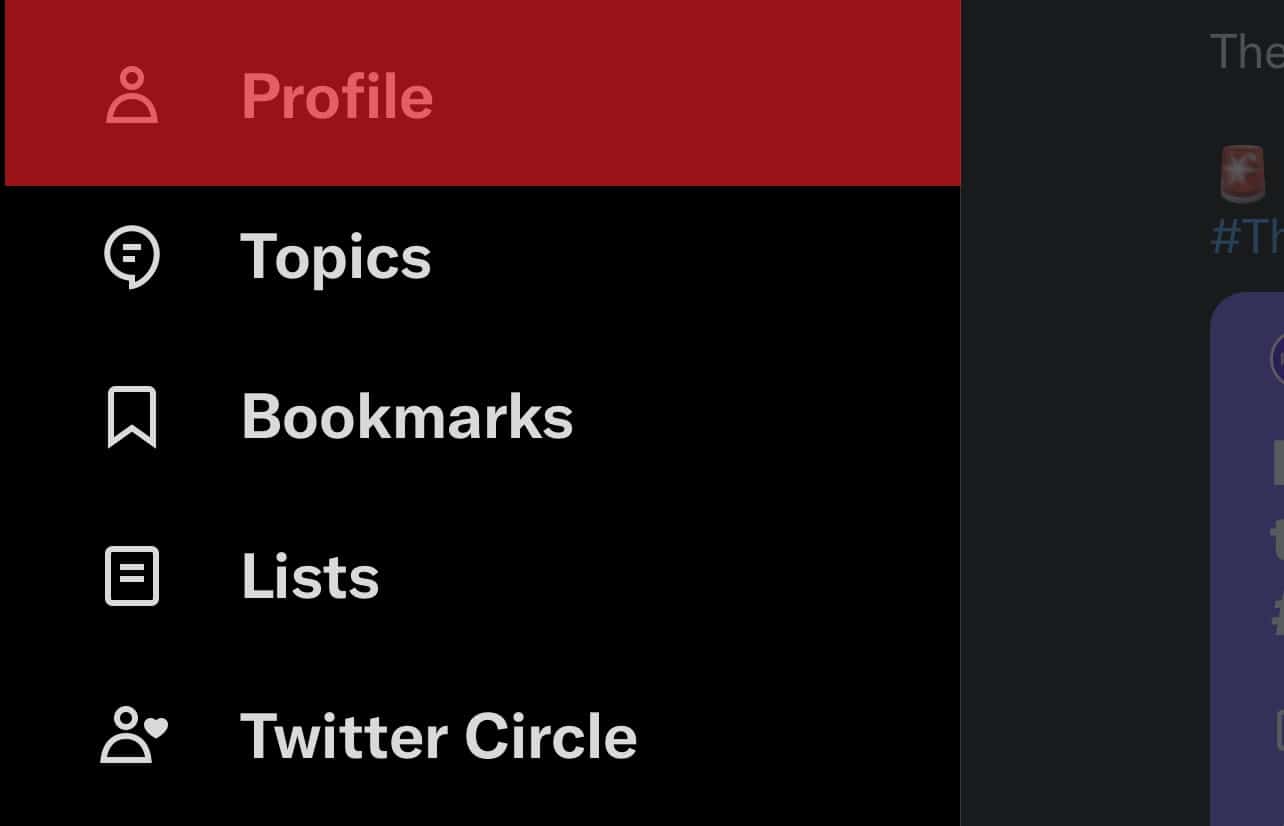 Profile Option In Twitter Menu