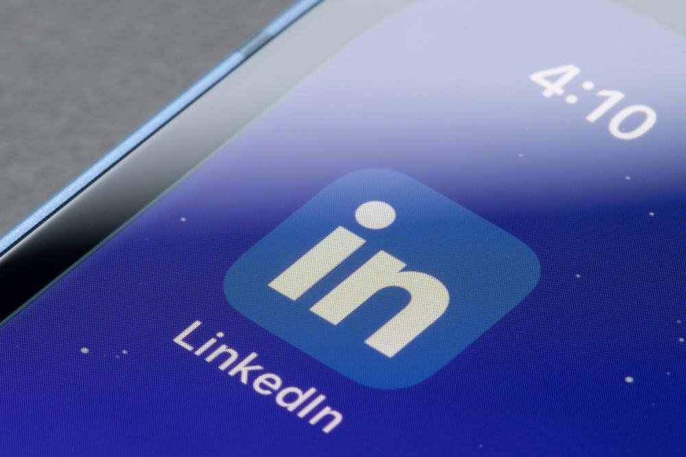 What Does Lion Mean On Linkedin