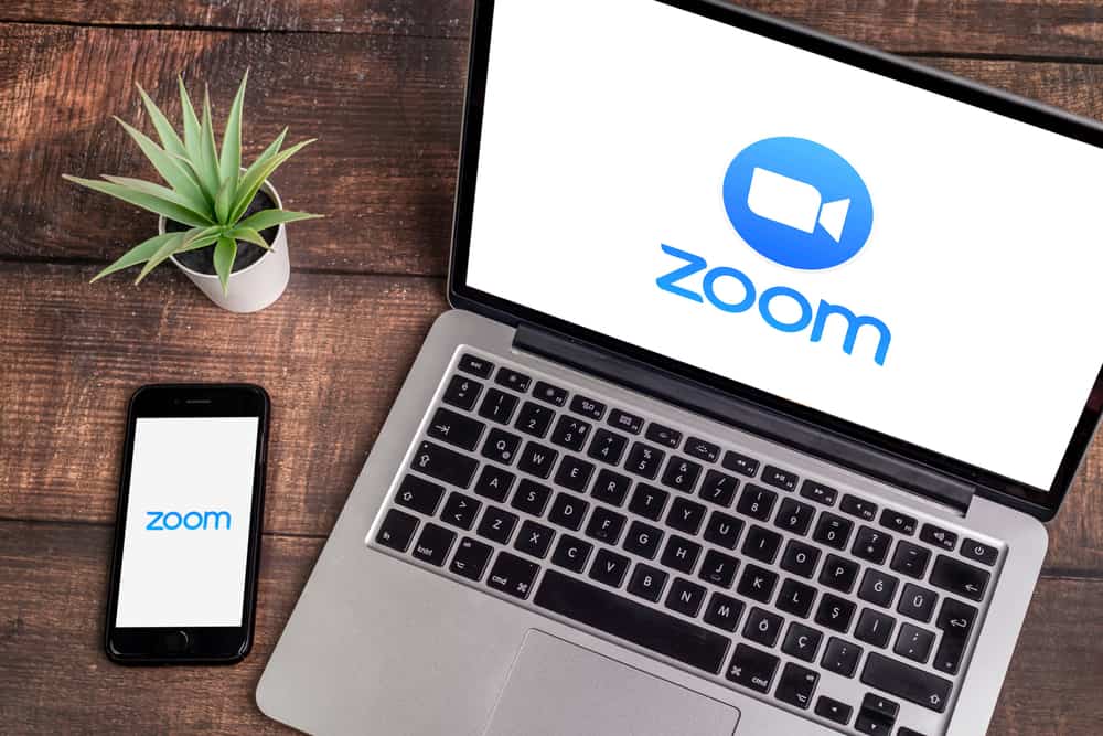 What Font Does Zoom Use