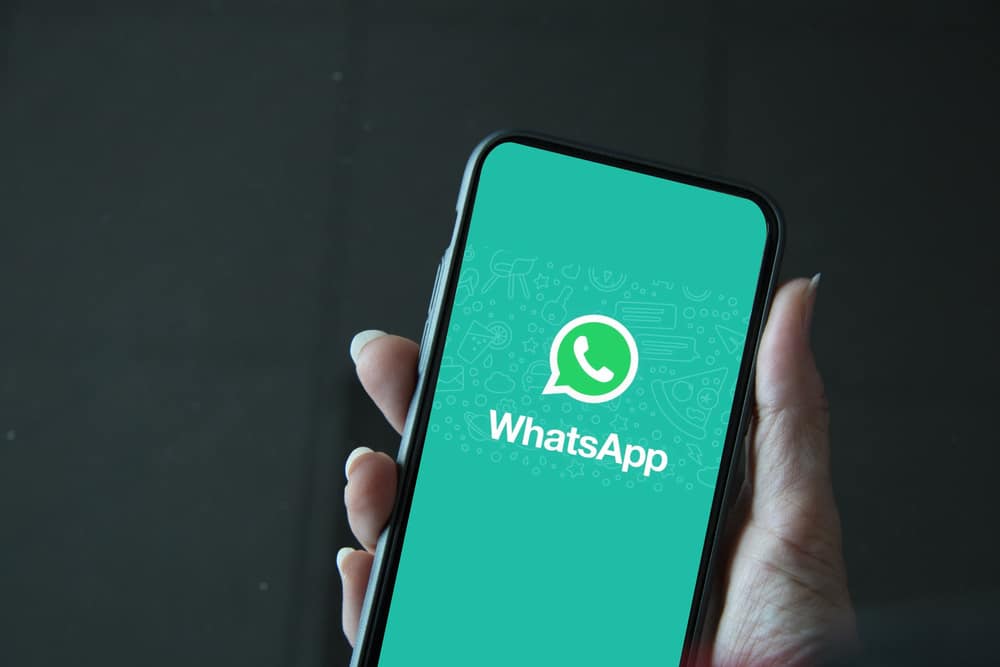 What Is The Clock Sign On Whatsapp Group