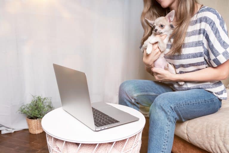 Why Can't Dogs Hear Me on FaceTime? ITGeared